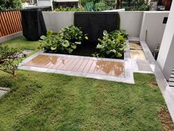 Lorong Kismis (D21), Detached #546380861